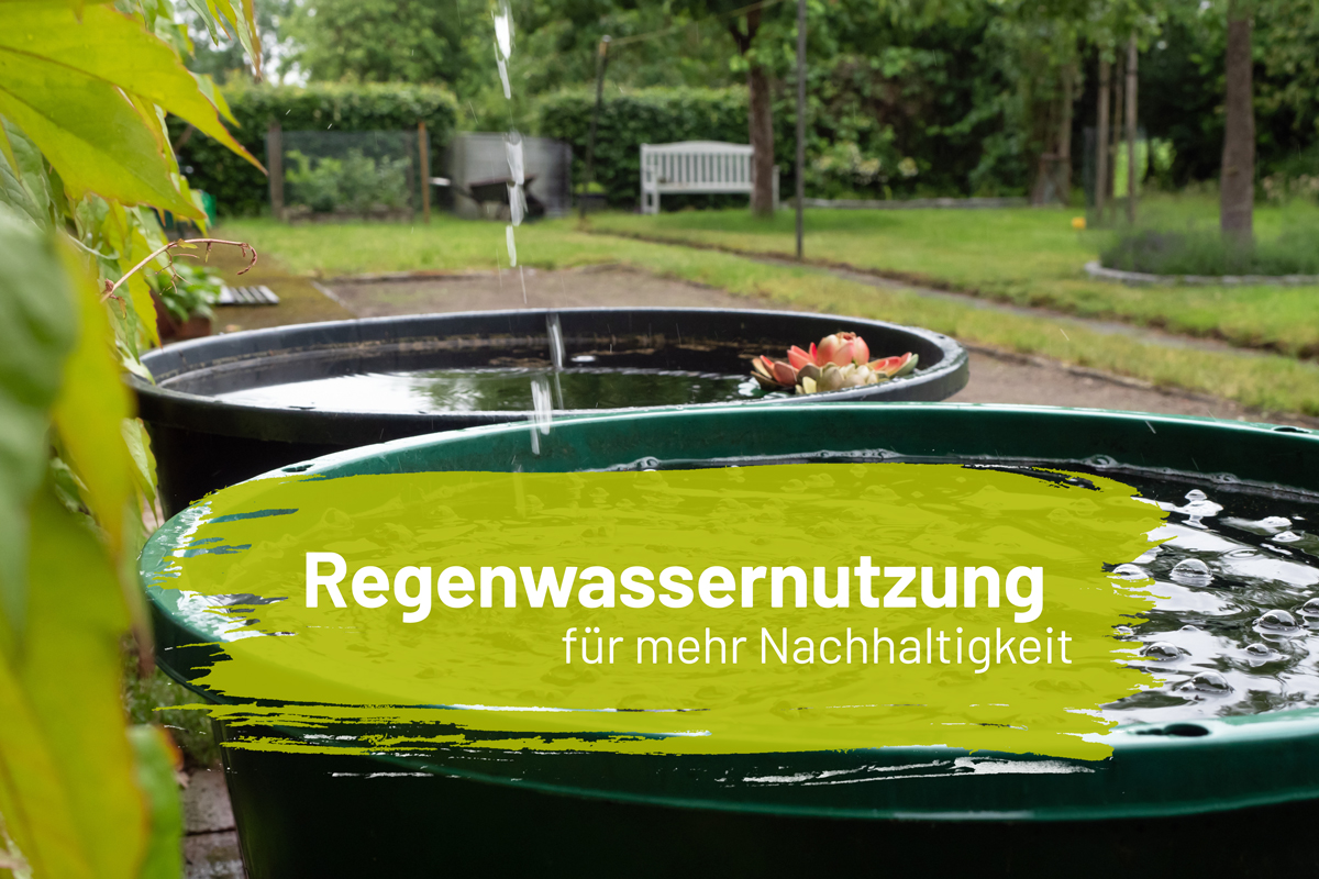 Regenwasser_AdobeStock_509734091-Insta.jpg