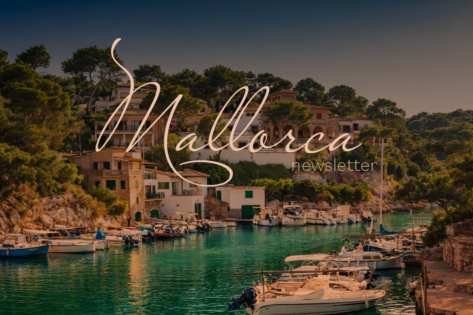 Newsletter Deckblatt Quer final.jpg